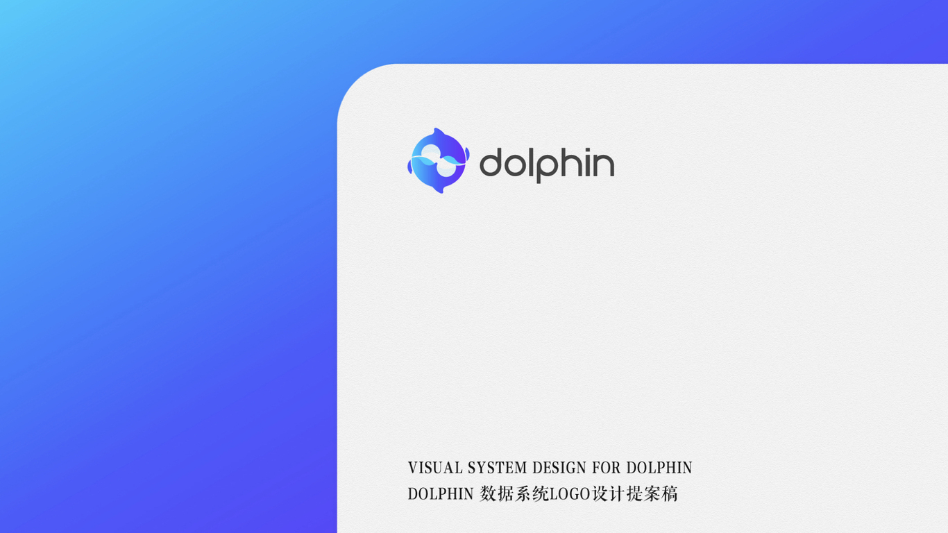 DOLPHIN VI DESIGN--海豚數(shù)據(jù)平臺Vi設計圖12