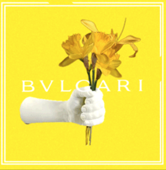 BVLAGRI图3