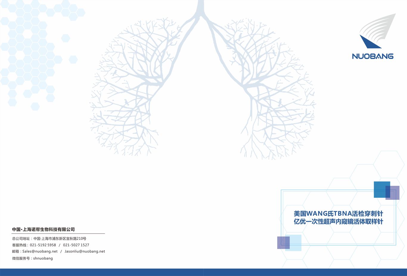 諾幫生物簡(jiǎn)易畫冊(cè)圖3