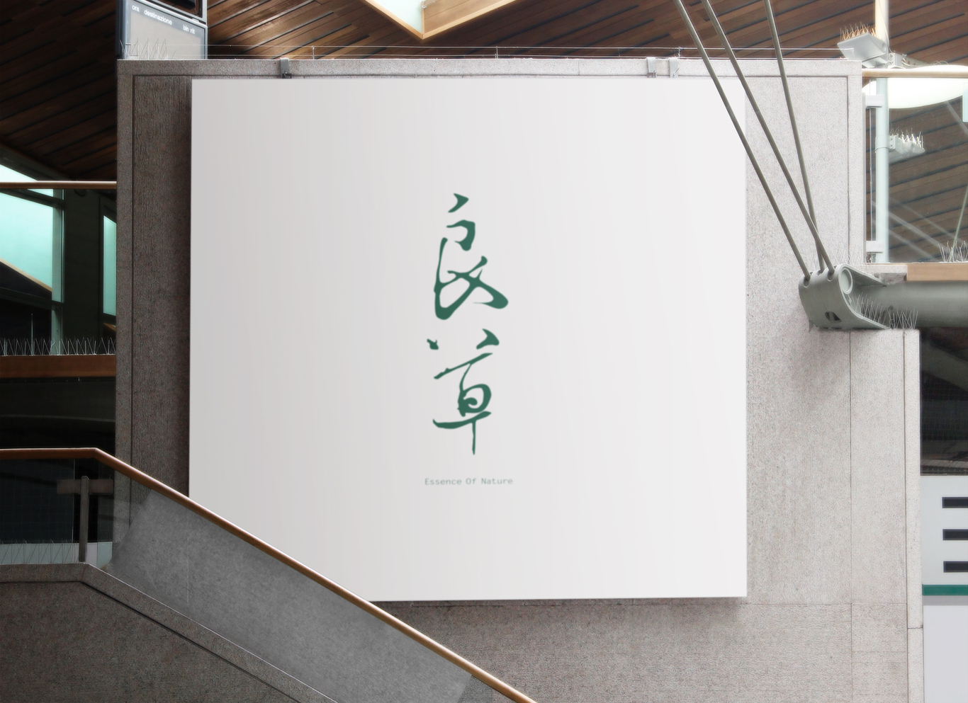 良草Essence Of Nature品牌设计图4