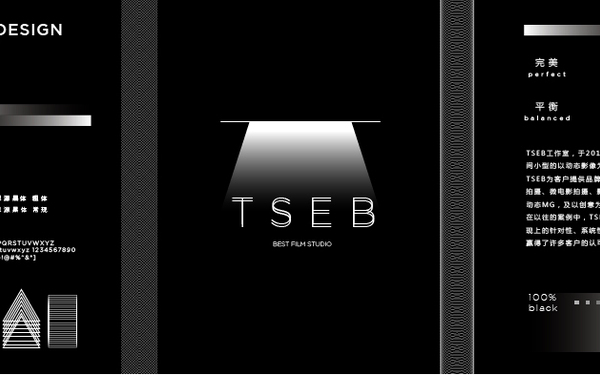 TSEB