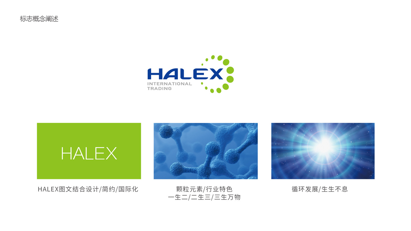 HALEX LOGO設(shè)計中標(biāo)圖1