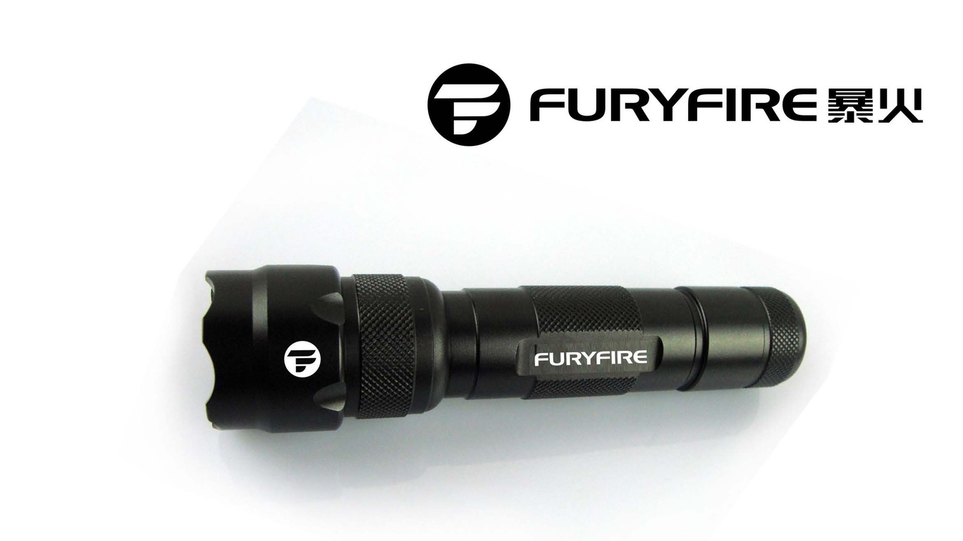 FuryFire LOGO设计中标图6