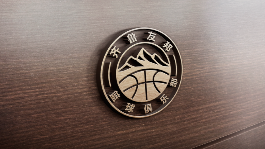 齐鲁友邦LOGO设计中标图5