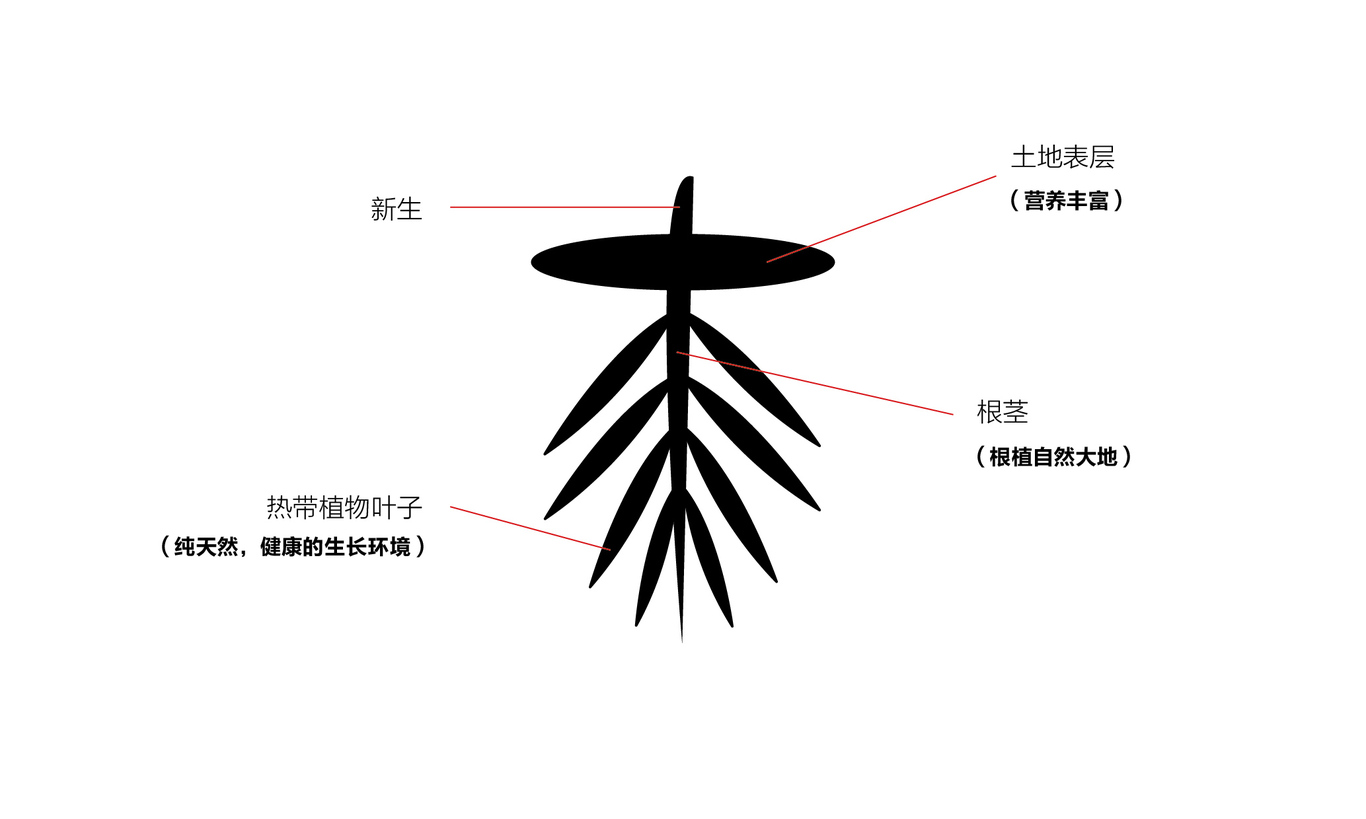 Healthweet燕窩品牌包裝設(shè)計(jì)圖2