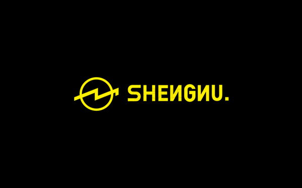 SHENNU潮牌男裝品牌設(shè)計(jì)