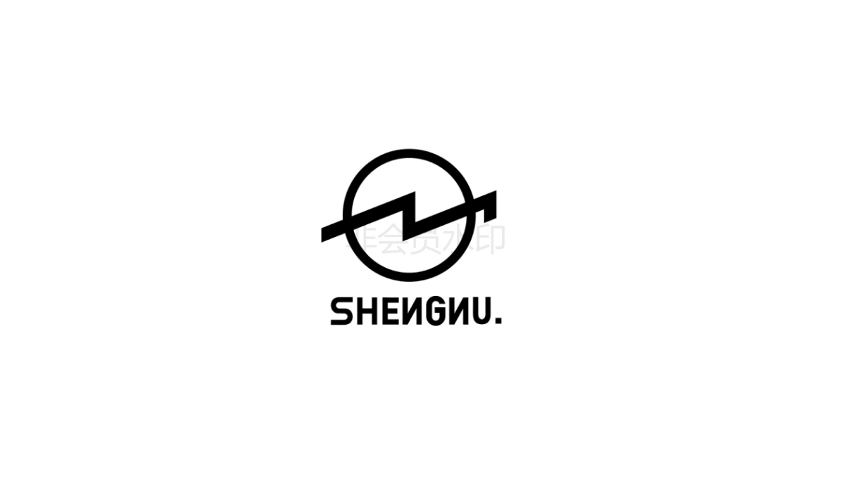 SHENNU潮牌男装品牌设计图4