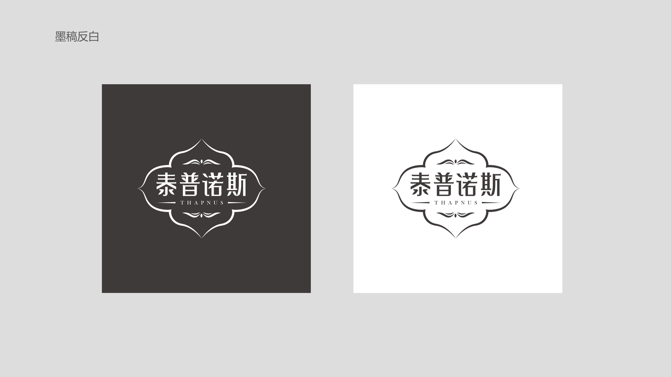 泰普諾斯家居品牌LOGO設(shè)計(jì)中標(biāo)圖2