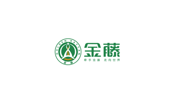 金藤留学品牌LOGO设计