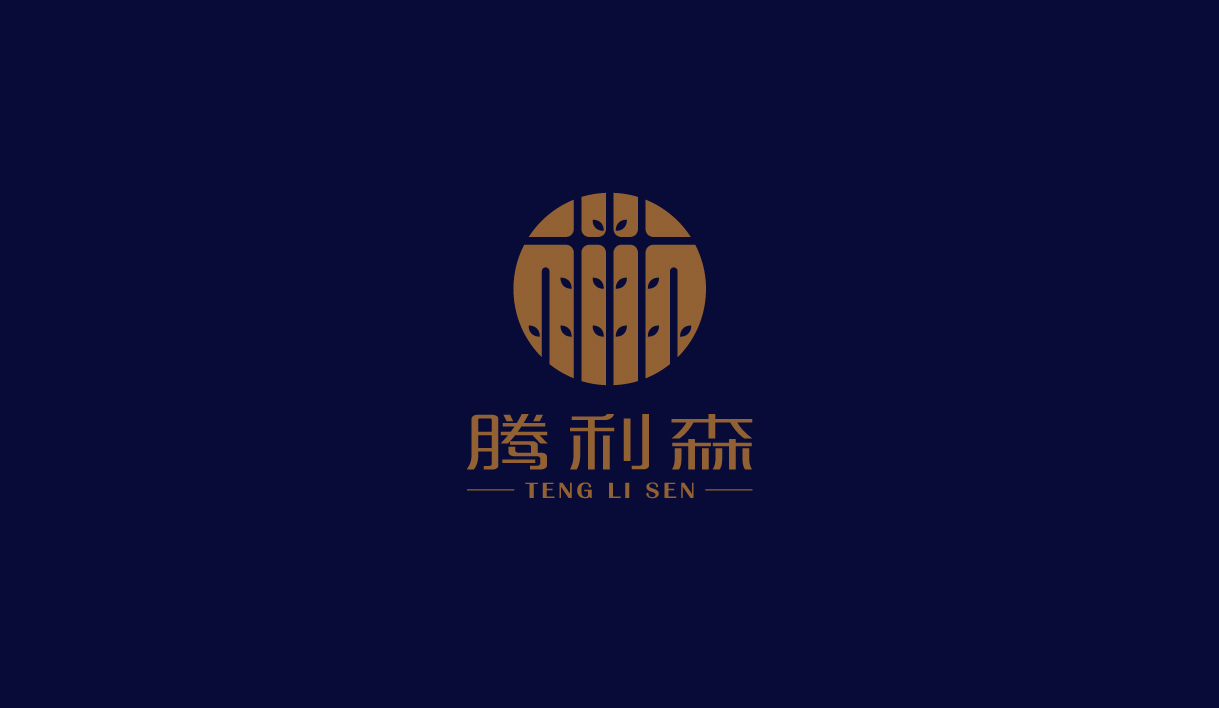 騰利森品牌LOGO設(shè)計(jì)中標(biāo)圖2