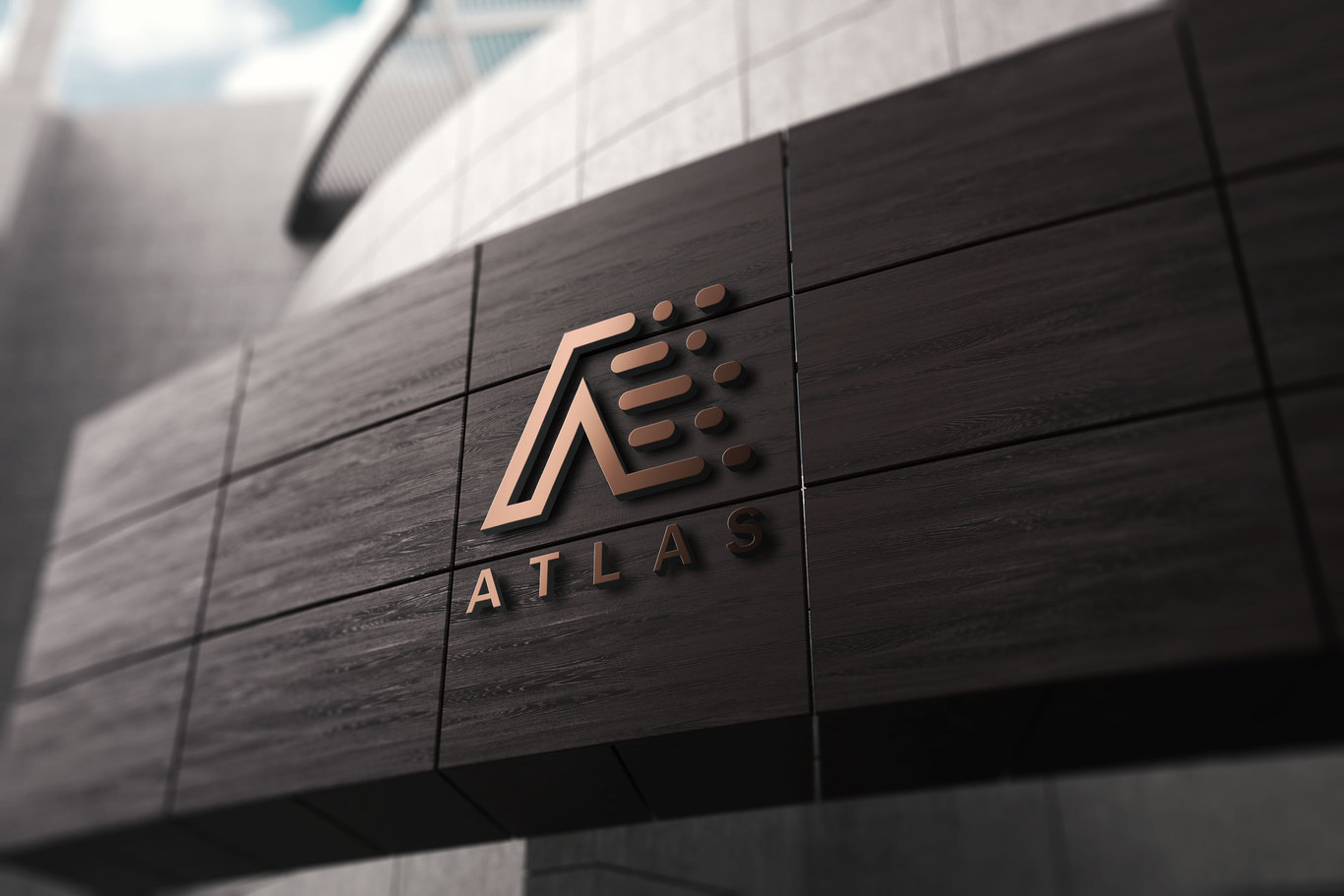 Atlas X 品牌VI设计图15