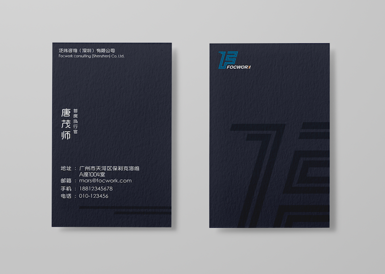 泛纬咨询logo图2