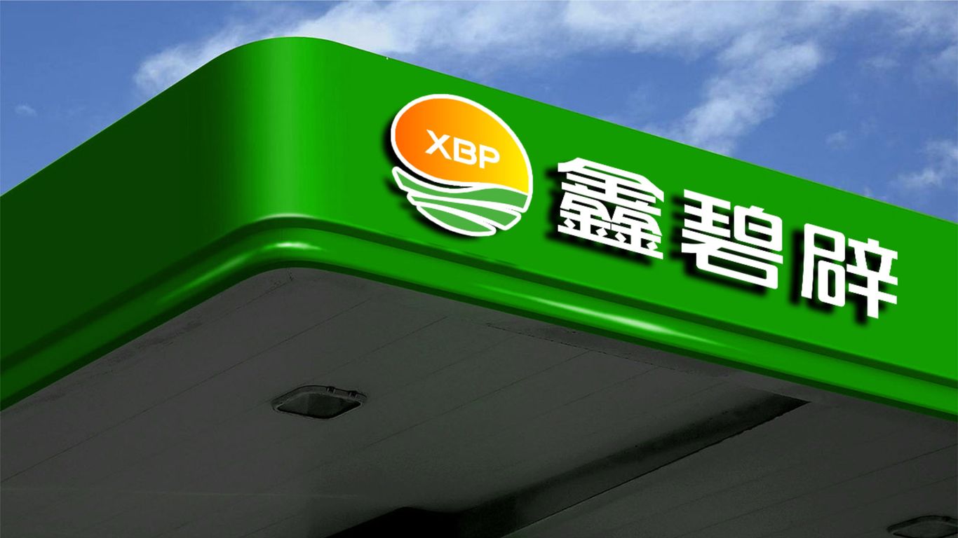 鑫碧辟品牌LOGO設(shè)計(jì)中標(biāo)圖3