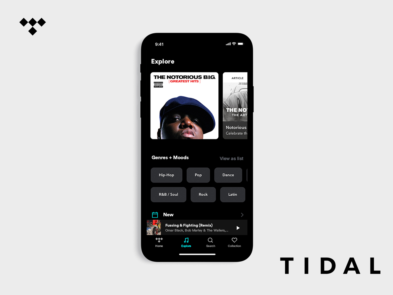 Tidal(Concept)图1