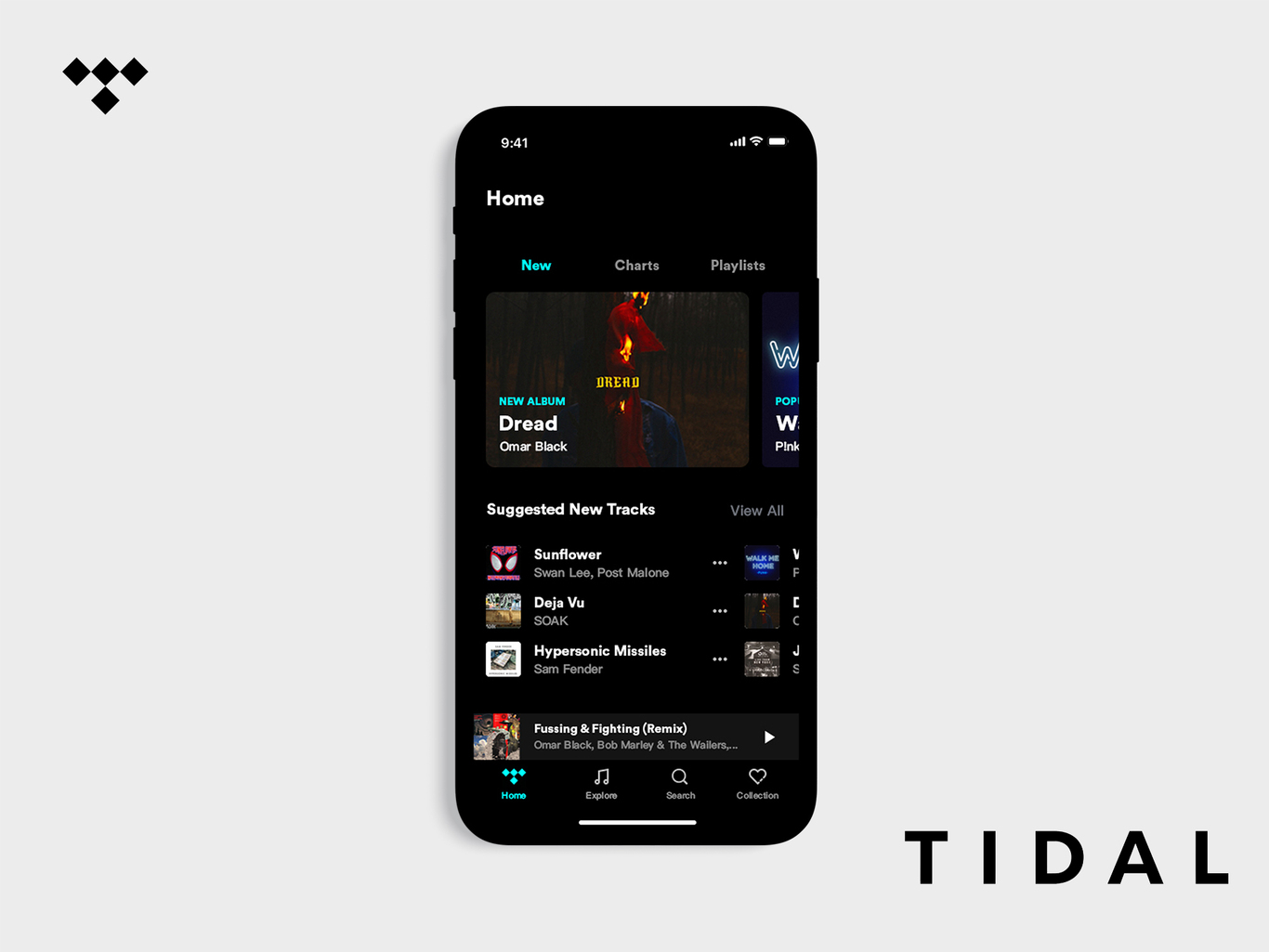 Tidal(Concept)图0