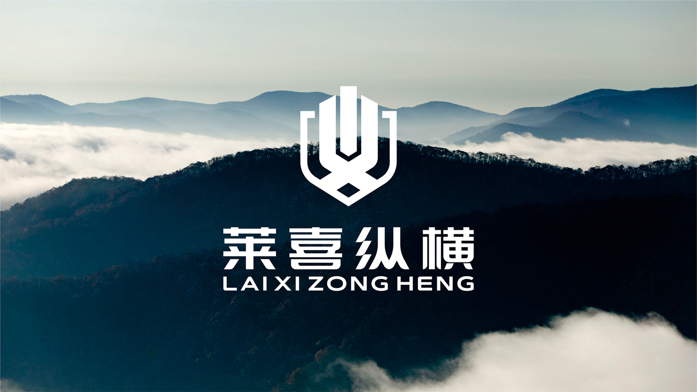 萊喜縱橫品牌LOGO設(shè)計中標圖2