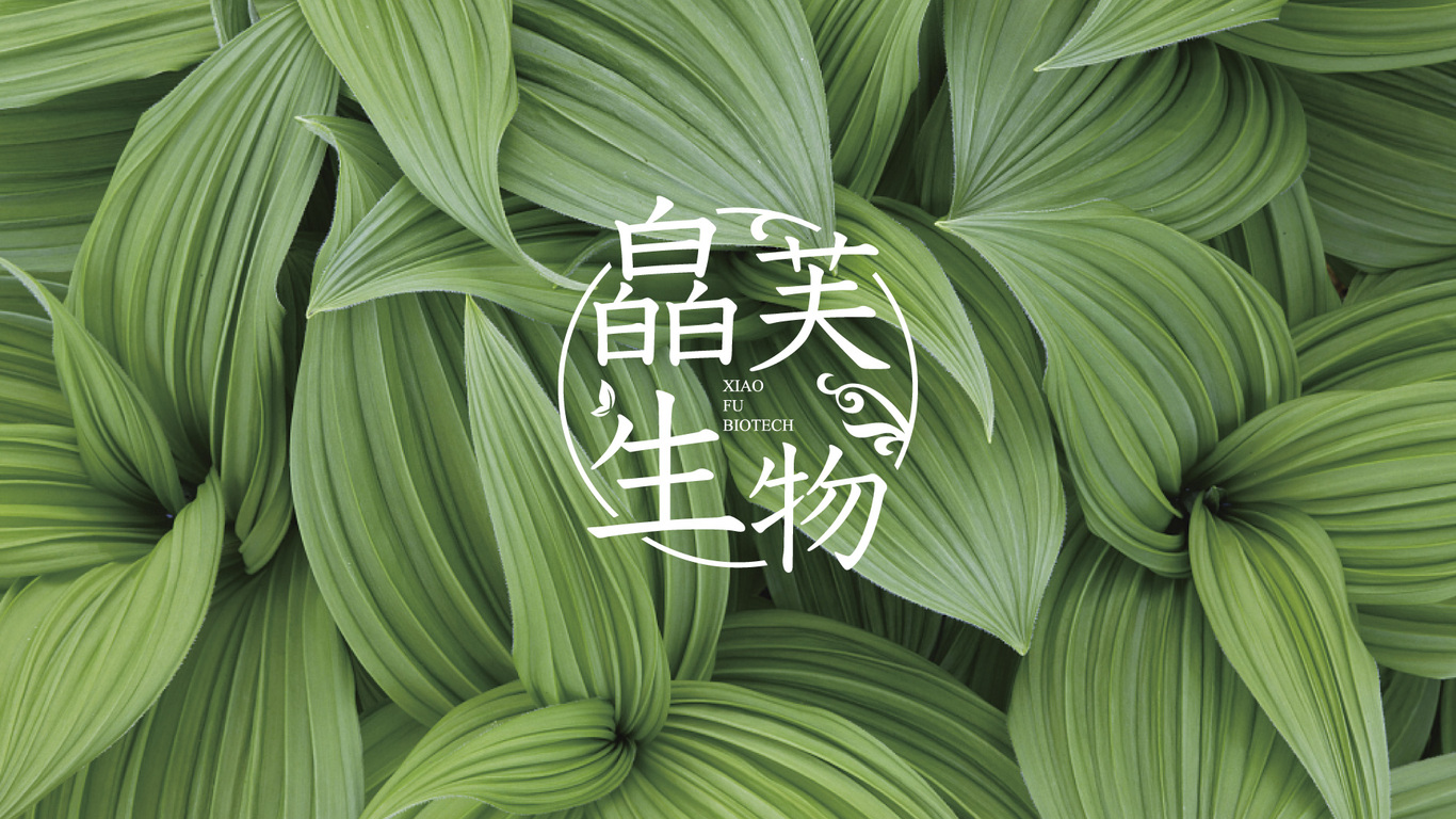 皛芙生物公司LOGO設(shè)計中標(biāo)圖2