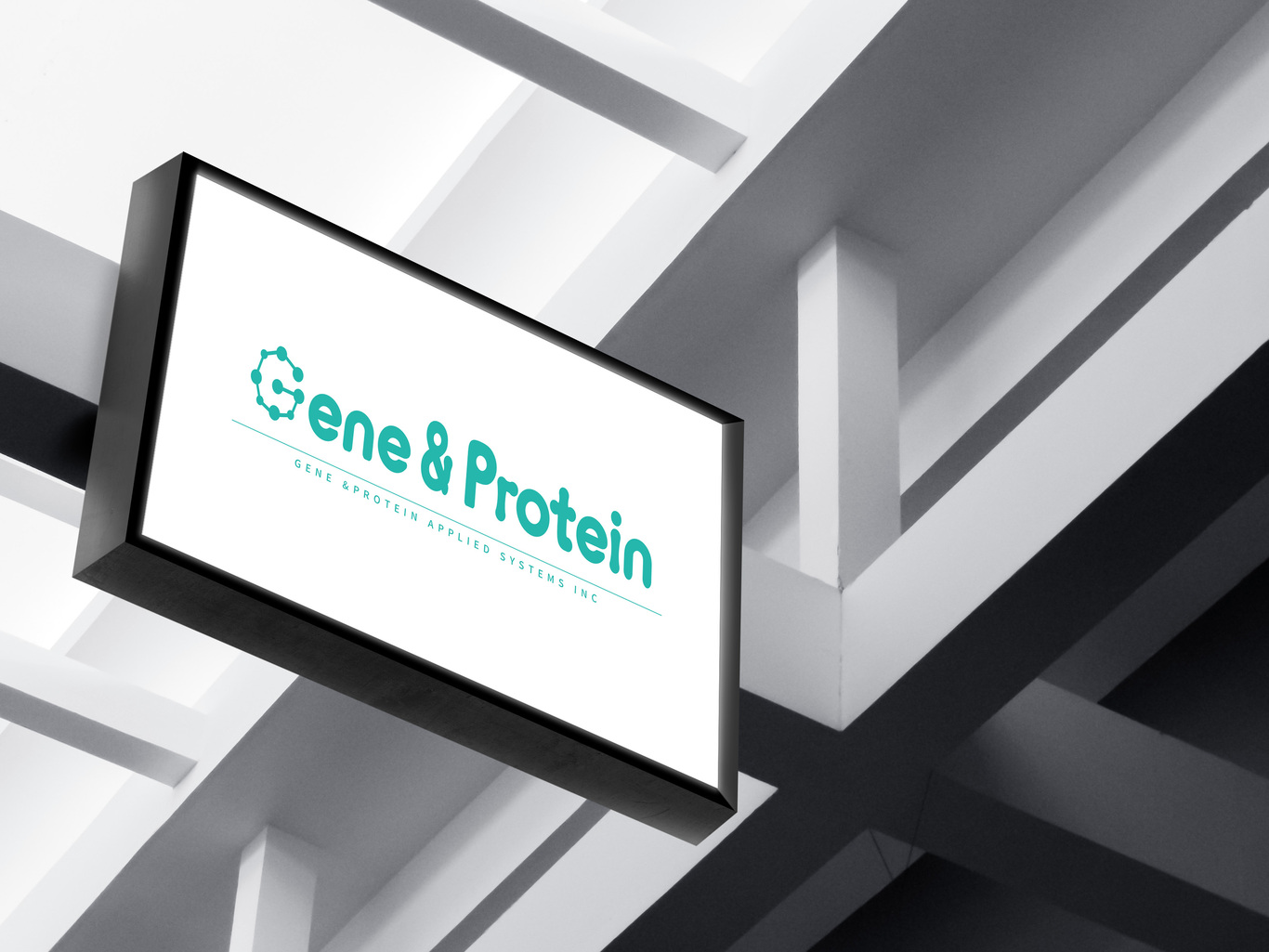 Gene&Protein圖4