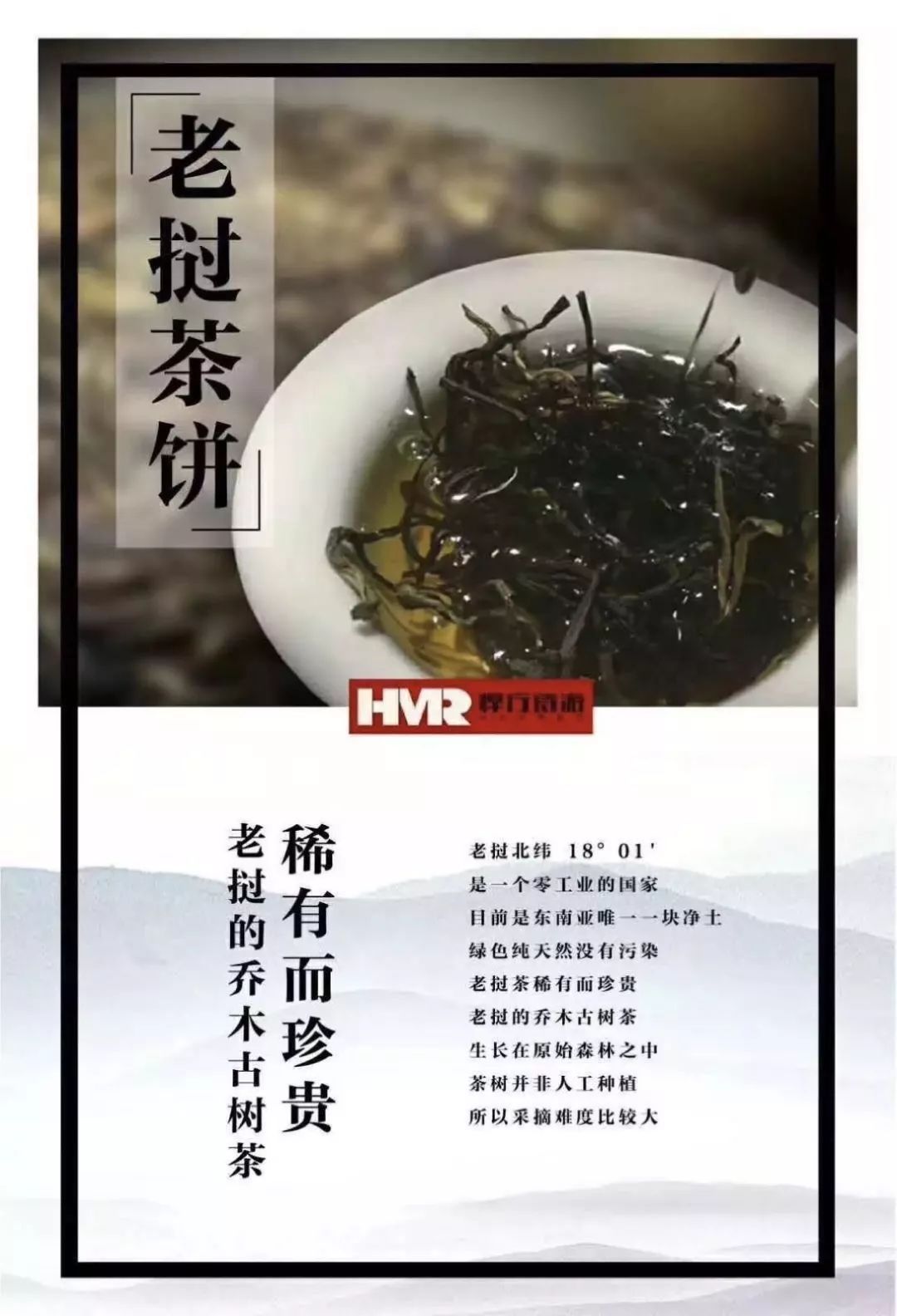悍馬人旅行產(chǎn)品海報設計圖12