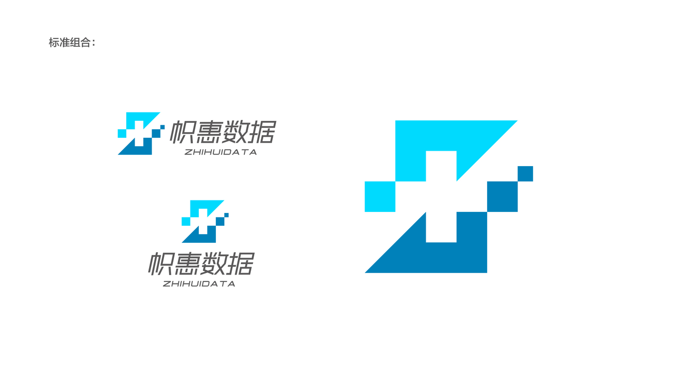 帜惠数据公司LOGO设计中标图1