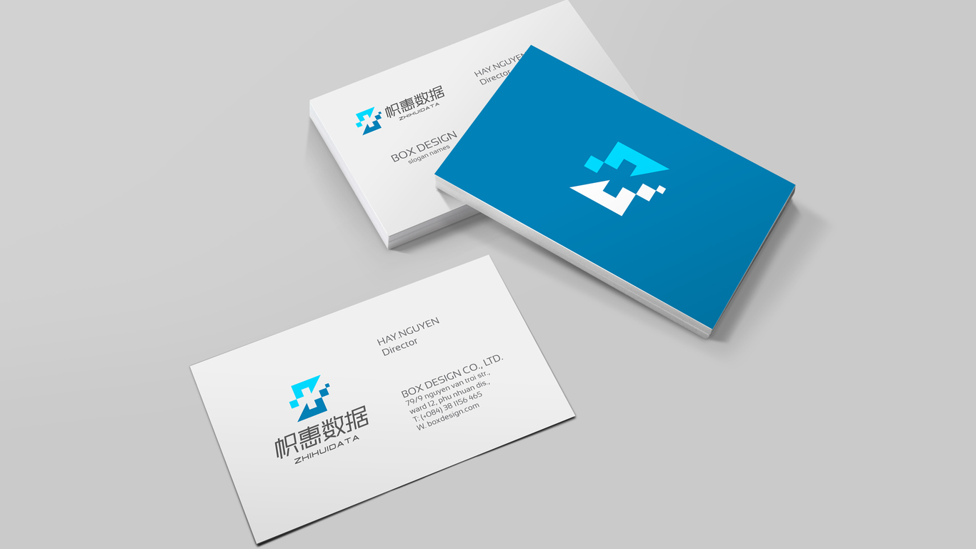 帜惠数据公司LOGO设计中标图5