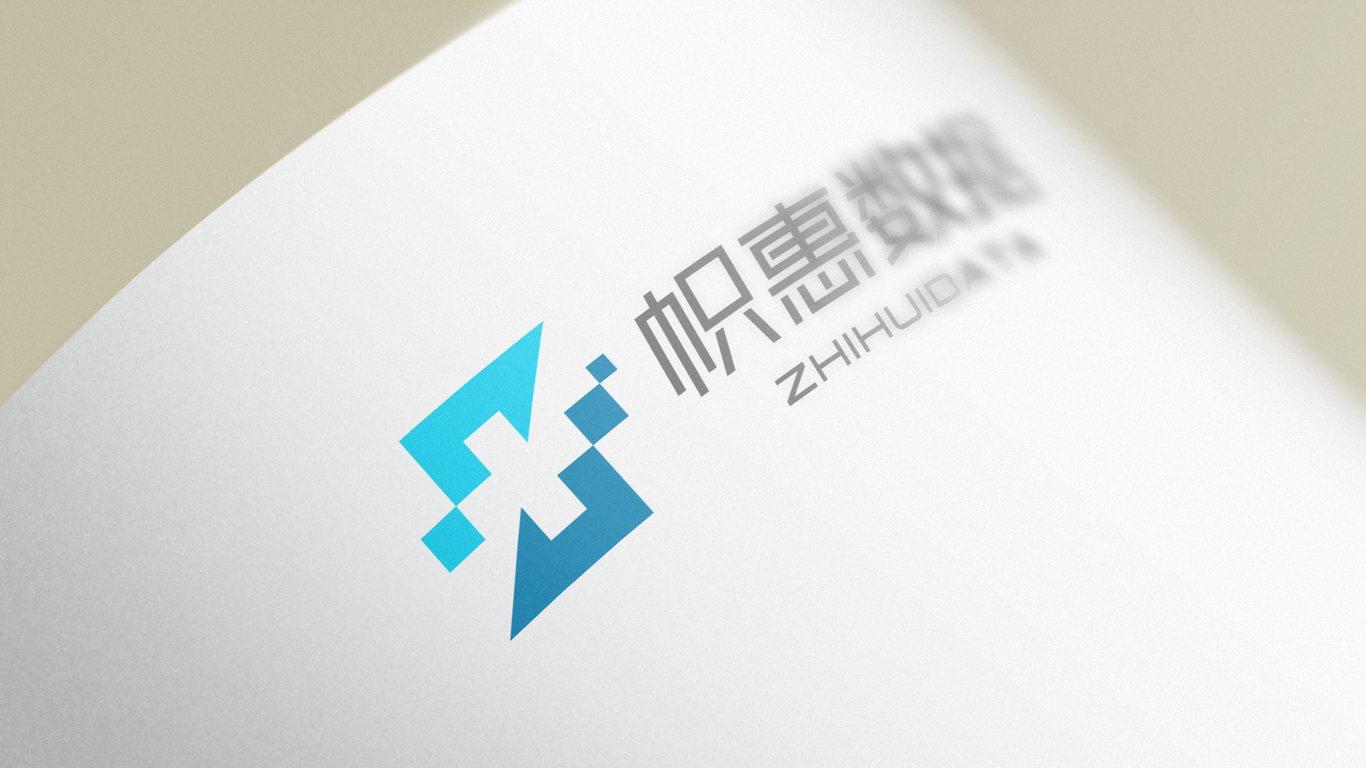 帜惠数据公司LOGO设计中标图8