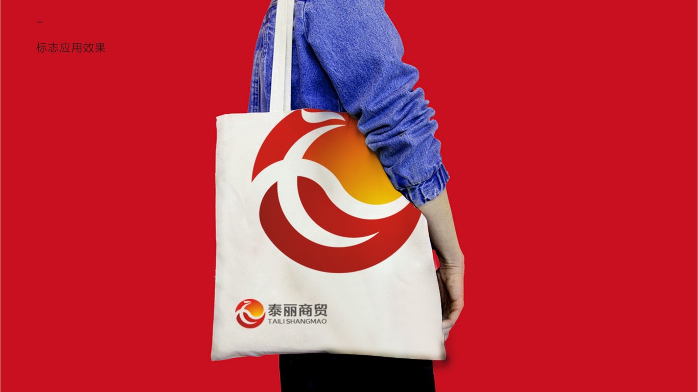 泰丽商贸品牌LOGO设计中标图5