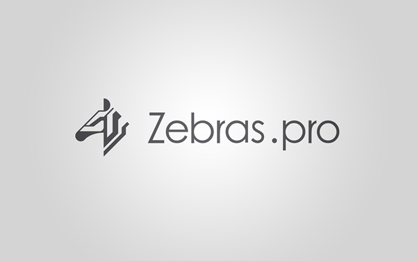 斑馬算力（Zebras.pro）品牌logo設(shè)計(jì)