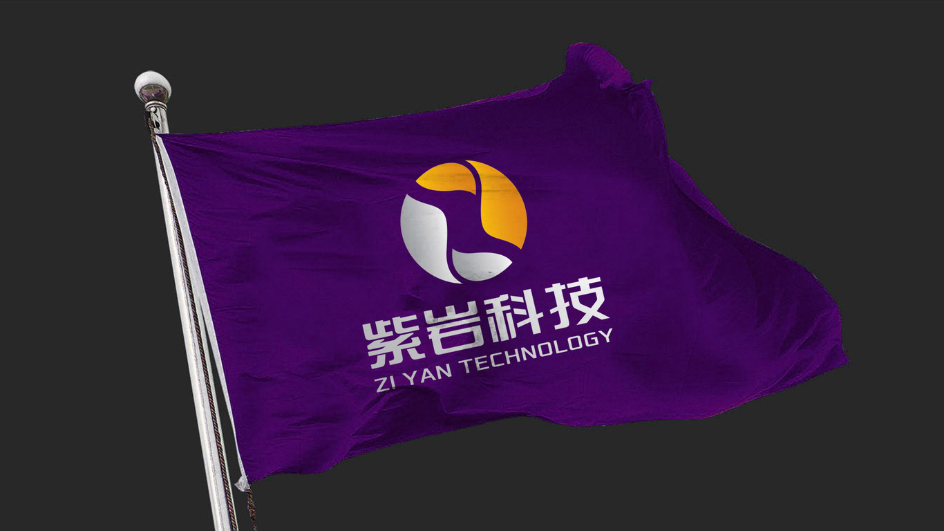 紫巖科技公司LOGO設計中標圖9