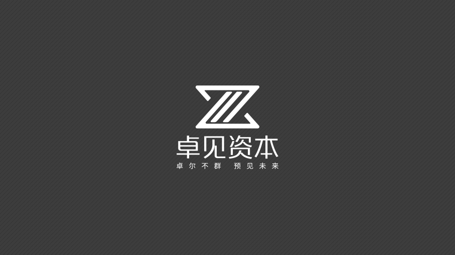 卓见资本品牌LOGO设计中标图6