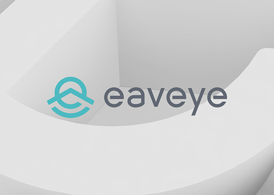 eaveye 品牌设计