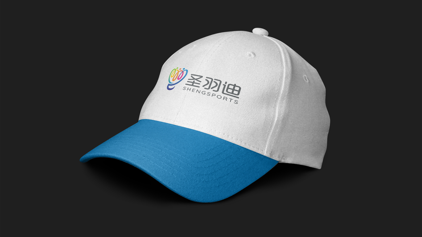 圣羽迪体育文化公司LOGO设计中标图6