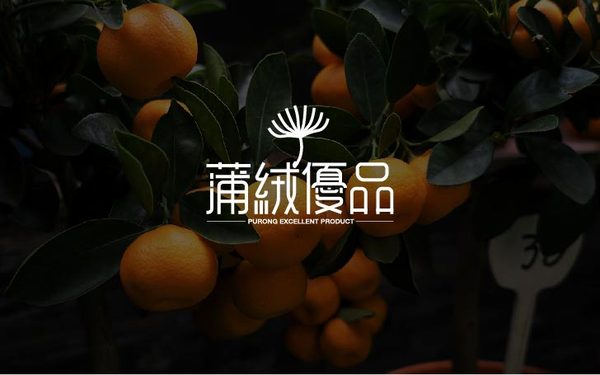 蒲絨優(yōu)品logo設(shè)計