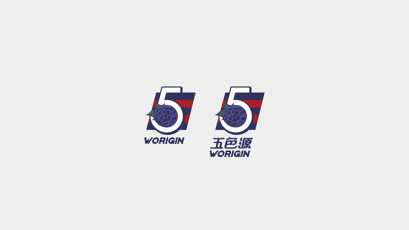 五色源饮料品牌LOGO设计中标图4