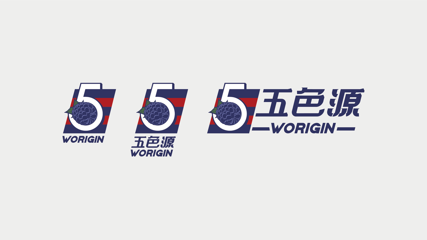 五色源饮料品牌LOGO设计中标图3