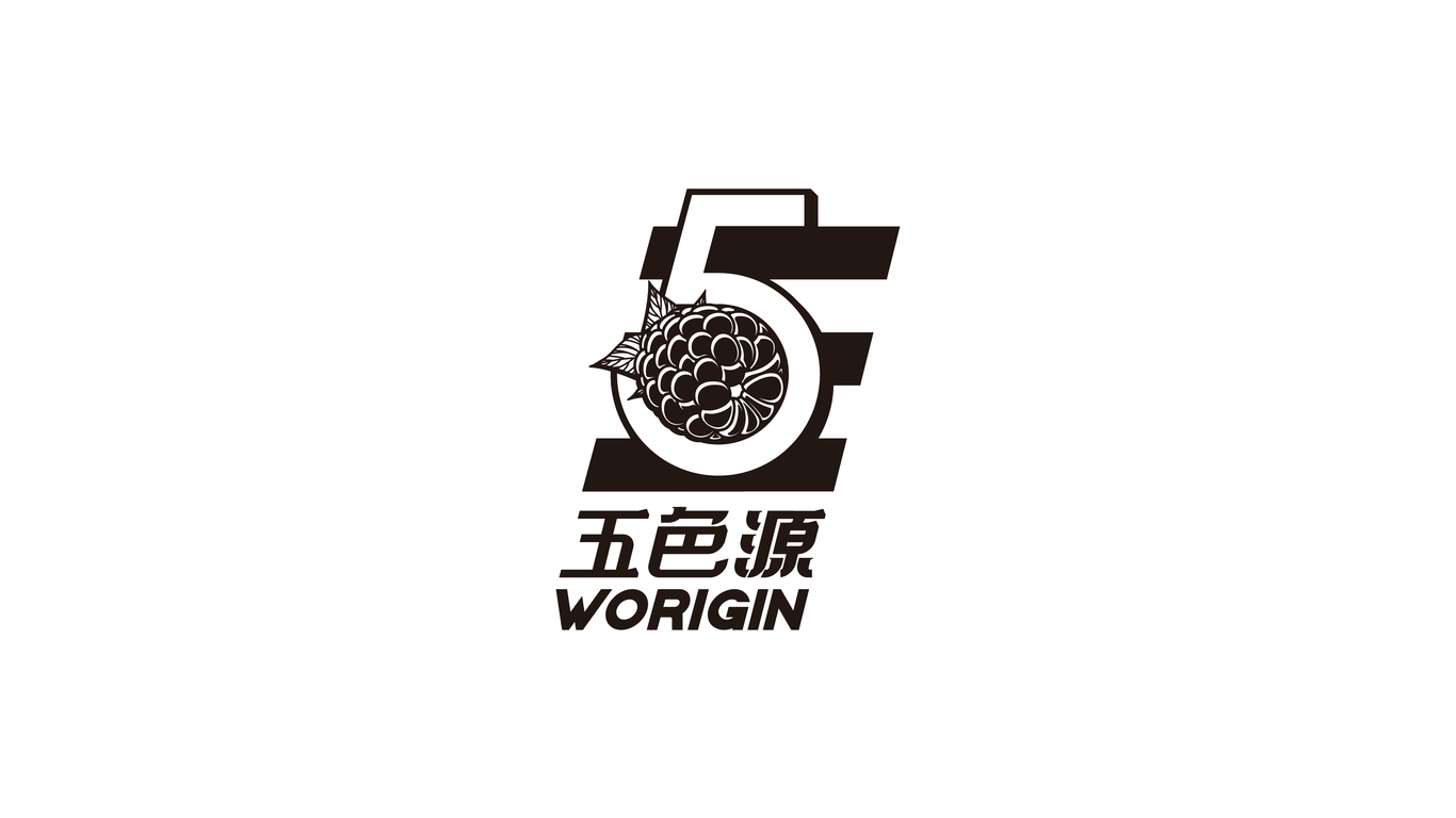 五色源饮料品牌LOGO设计中标图1