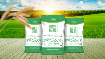 雙龍制粉公司包裝設計