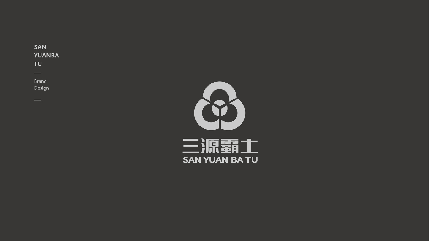 三源霸土食品品牌LOGO设计中标图4