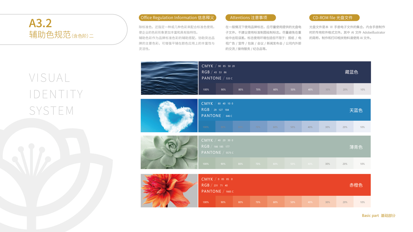 有菜花文化傳媒公司VI設(shè)計(jì)中標(biāo)圖20