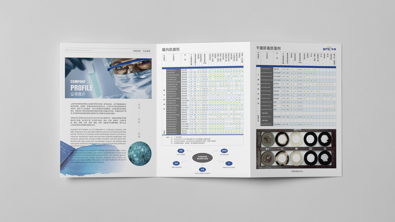 畢特生物公司折頁(yè)設(shè)計(jì)中標(biāo)圖0