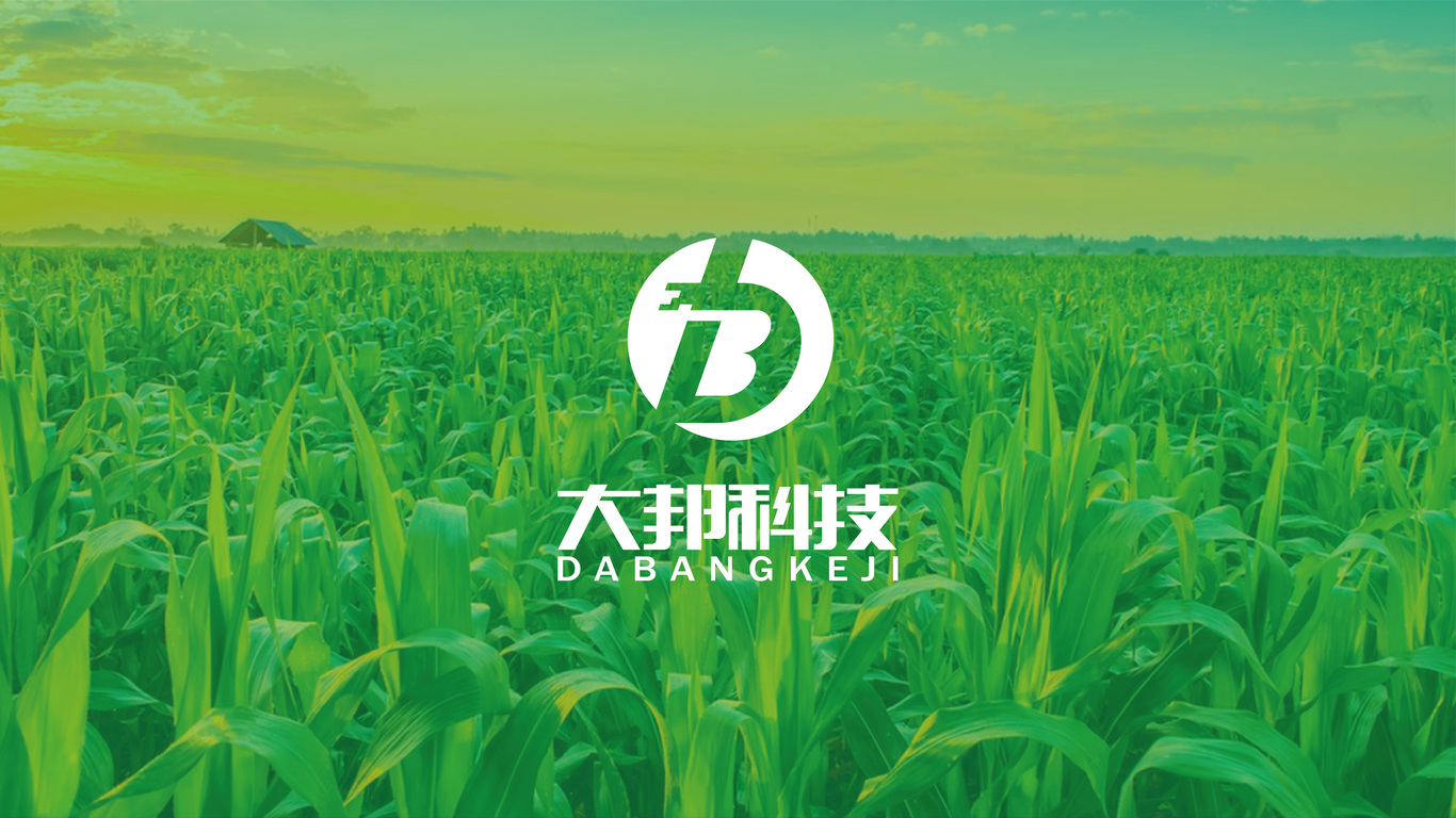 大邦科技公司LOGO設(shè)計中標圖0