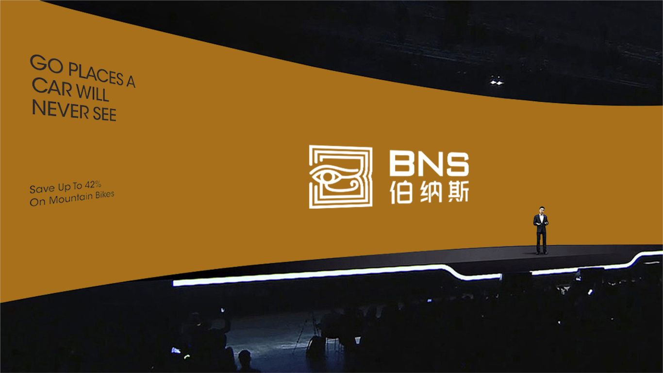 伯纳斯公关公司LOGO设计中标图6