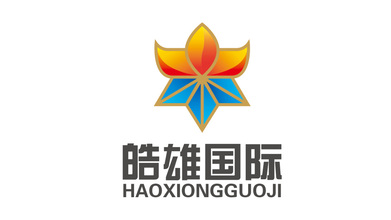 皓雄国际公司LOGO设计