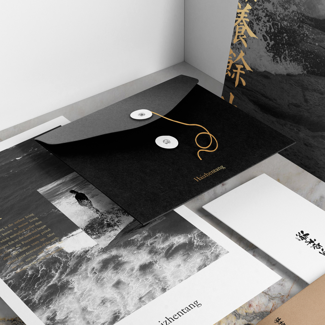 尚智案例 | 海祯堂品牌设计-包装设计/VI设计/标志设计图0