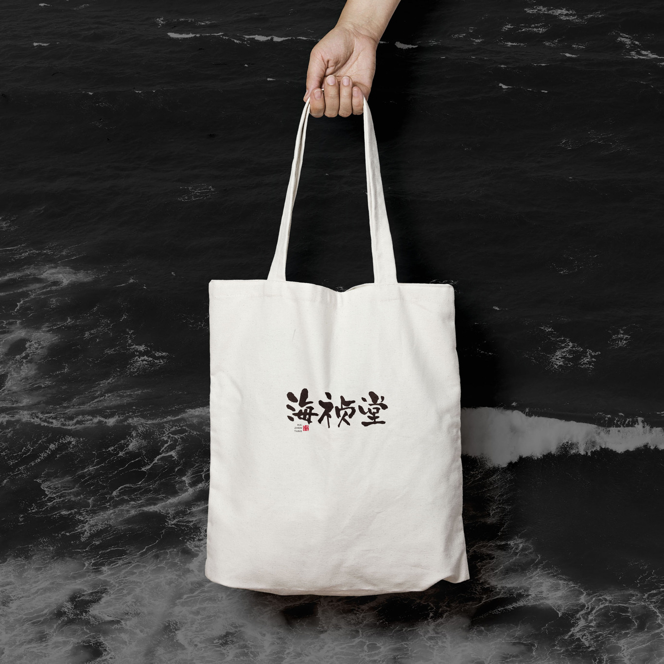 尚智案例 | 海祯堂品牌设计-包装设计/VI设计/标志设计图3