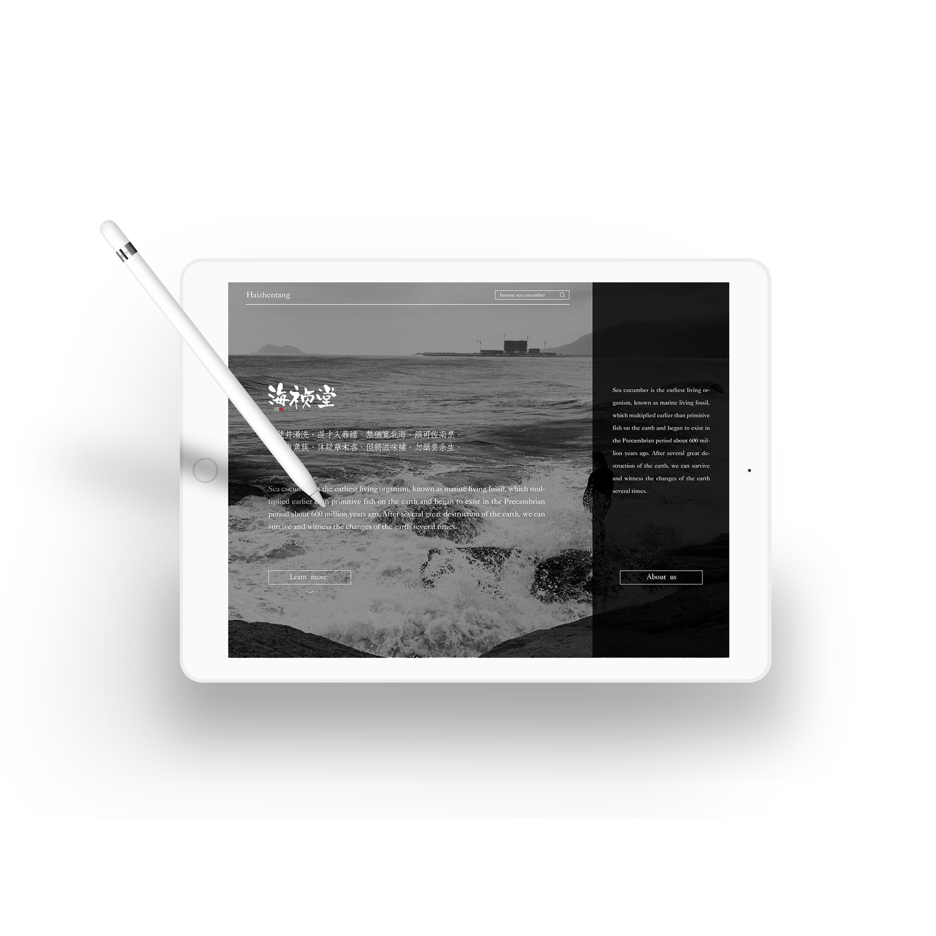 尚智案例 | 海祯堂品牌设计-包装设计/VI设计/标志设计图6