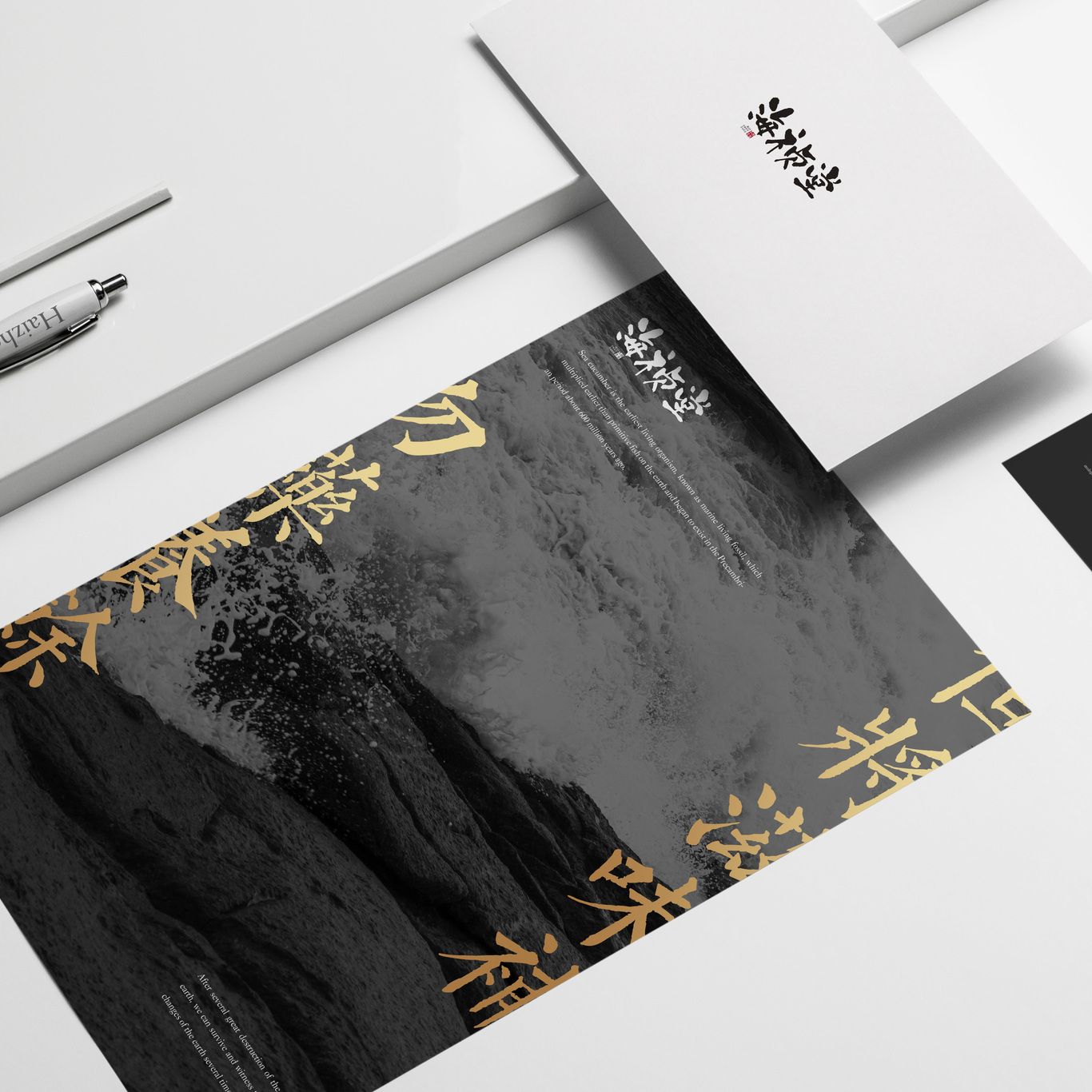 尚智案例 | 海祯堂品牌设计-包装设计/VI设计/标志设计图1
