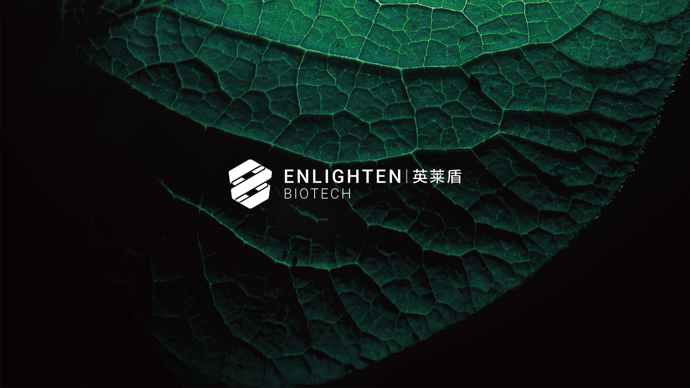 科技行业LOGO设计图9