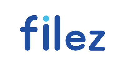 Filez科技品牌LOGO设计