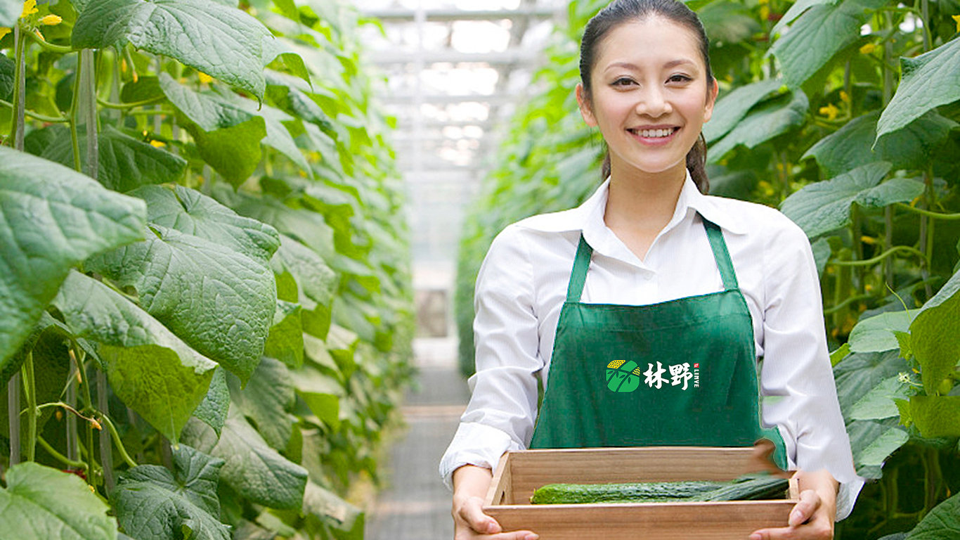 林野生態(tài)種植觀光園公司LOGO設(shè)計(jì)中標(biāo)圖7